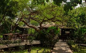 Acacia Village